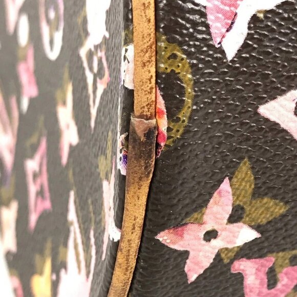 LOUIS VUITTON M95753 Monogram Watercolor Papillon30 Richard-Prince Hand Bag - Picture 6 of 16
